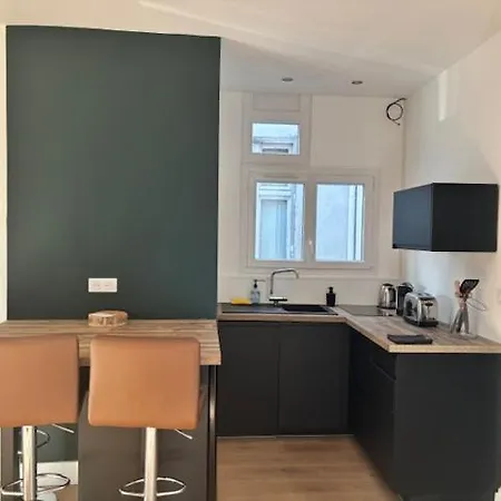 Totalement Renove En Plein Centre-ville Devant La Prefecture De Apartment Lyon